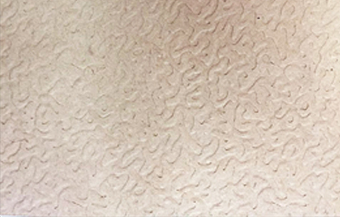 stucco emboss/orange peel